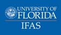 University of Florida